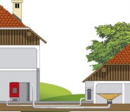 ����� ��� ������